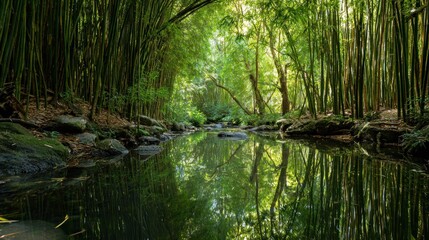 Peaceful bamboo forest stream