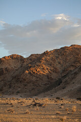 Dead tree lying in the arid desert of the Richtersveld mountains