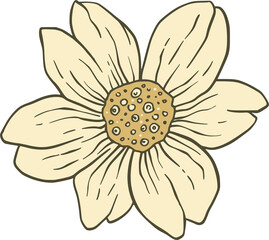 Hand Drawn Pale Yellow Flower with Outline petals floral isolated on a transparent background