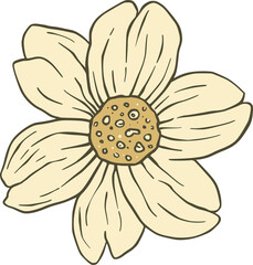 Hand Drawn Yellow Flower with Outline petals floral isolated on a transparent background