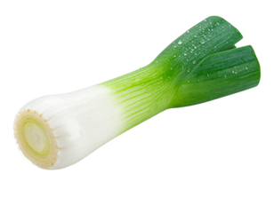 Single Green Onion Stalk with Dew Drops – Minimalist Isolated