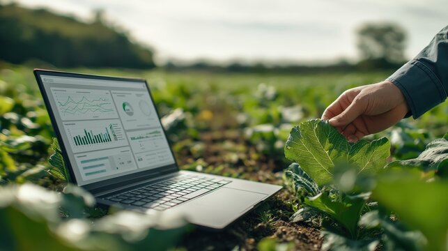 A person inspects crops using a laptop displaying data analytics in a lush green field, merging technology with agriculture.