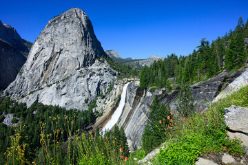 Nevada Falls with Indian Paintbrush
