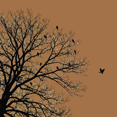 Silhouette of a bare tree with birds.