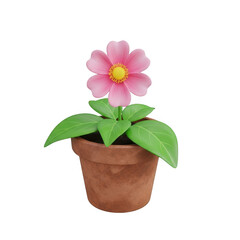 Obraz premium Pink flower in pot isolated on transparent background