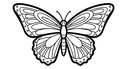 Delicate Butterfly with Detailed Wings on an Isolated White Background