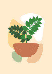 Ash leaf plant in terracotta pot with abstract colorful backdrop. Modern botanical floral background for poster, card, cover, branding, wallpaper, packaging, and decorative artwork.