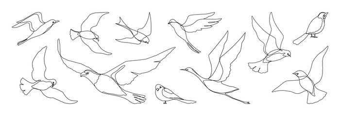 One line birds set. Seagull flying icon, hummingbird or parrot nature single outline gull. Simple elegant tattoo, migratory, doodle style songbird, freedom symbol. Vector logo isolated elements © SpicyTruffel