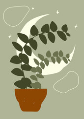 ficus pumila vine in clay pot with crescent shape and earthy pastel tones, minimal botanical artwork background for design. Perfect for wallpaper, poster, printable, decor, branding, or cover.