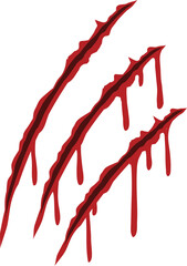 vector illustration of bloody cut