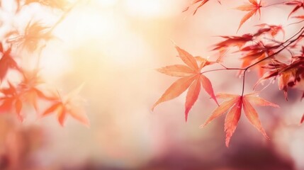 Blurred background of maple leaf in sunlight with Japanese art aesthetic, suitable for websites, prints, and serene visuals