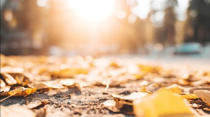 Golden sunset illuminates a serene autumn landscape covered with yellow and brown leaves,