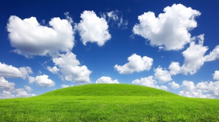 Obraz premium A vast green meadow stretches to a small hill, covered in dense,