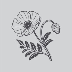 Poppy Simple Botanical Flower Vector Print