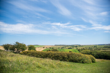 Obraz premium The Downs in Sussex