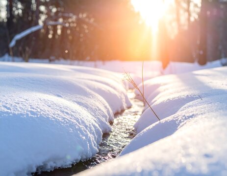 Winter sun streams through snowy stream