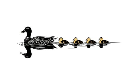 black vector of duck swimming with her chicks