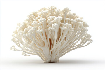 A enoki mushrooms, 3D render, isolated on a white background.