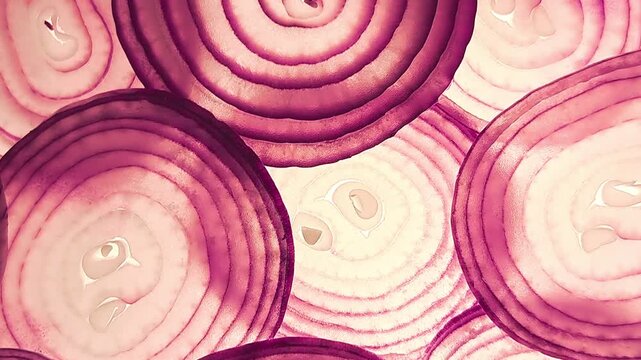 A close-up of rotating, backlit red onion rings. The translucent layers create a beautiful abstract pattern. Top view, macro