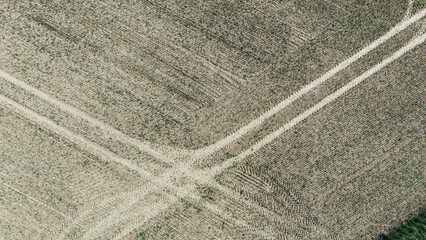 Aerial drone view of a field with visible tractor tracks, agricultural landscape from above