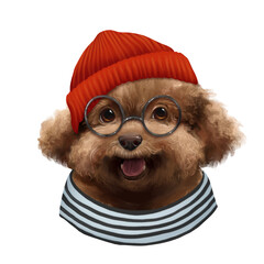 Hand-drawn illustration of a cute poodle dog wearing glasses and a stylish red beanie hat