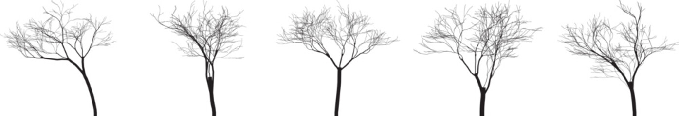 Five bare trees winter branches nature set graphic design element white background