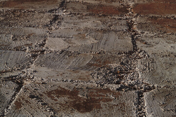 Autumn trend Burnt Wood. Burnt Wood color. Autumn style. Concrete texture. Wall texture. Burnt Wood wall texture