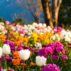 Vibrant flower field