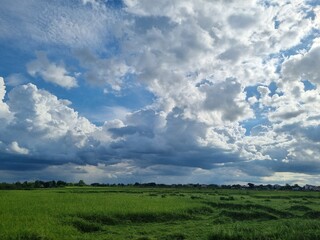 Cloudscape over Lush Fields: A picturesque panorama unfolds, with a dynamic skyscape dominating the view, as the sky above offers a breathtaking display of billowing cloud formations.