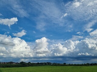 Naklejka premium Dramatic Sky and Meadow: An awe-inspiring skyscape dominates a vast verdant meadow, a spectacle of nature, capturing the majesty and serenity of the open landscape.