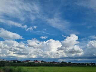 Fototapeta premium Vivid Sky Above the Field: Capturing the dramatic beauty of a sky filled with dynamic clouds that float majestically above a field of green grass. The scene is a showcase of atmospheric wonder.
