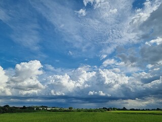 Azure Canopy and Lush Fields: A majestic display of billowing cumulus clouds dances across an azure canvas, casting shadows over verdant agricultural fields.