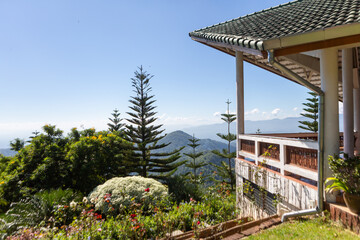 Beautiful wooden villa with tropical garden and palm trees near the beach