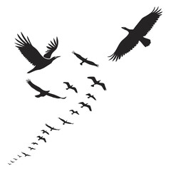 Flock Of Birds Silhouettes Flying In Formation