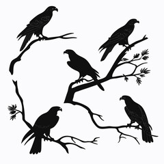 Group of five silhouette eagles on bare branches bird