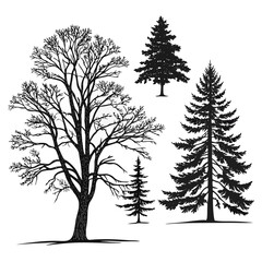 Group of four black tree silhouettes Keywords: tree, silhouette, nature, plant, evergreen