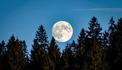 Full moon over a forest