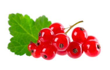 Red currant isolated on white background. Redcurrant or Ribes rubrum ripe berries with green leaves.