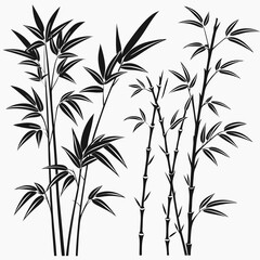 Multiple Bamboo Stalks and Branches in Black Silhouette