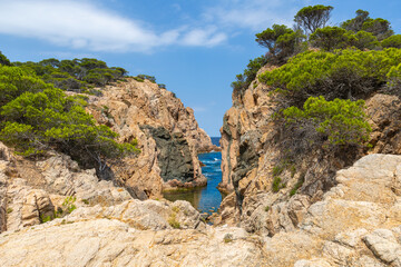 Fototapete bei efototapeten.de bestellen   