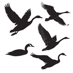 Silhouettes of Geese in Flight and Standing goose bird