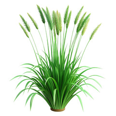 Obraz premium Lush green ornamental grass with feathery plumes isolated on a transparent background image