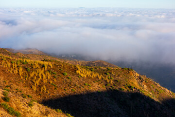A wide-angle, high-angle view captures the scenic Pacific Palisades coastline from a dry hillside trail, with a low-lying marine layer of fog rolling over the Pacific Ocean below a clear blue sky in S