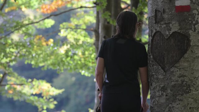 Camminare nel Bosco 