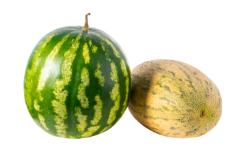 Fresh ripe watermelon and yellow melon isolated on transparent background, perfect for design, food concepts, summer themes and healthy nutrition ideas.