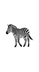 Side view of a zebra, showing its distinctive black and white stripes.