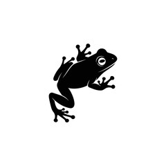 Silhouette of a frog with webbed feet and bulging eyes, isolated on white.
