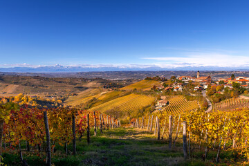 Treiso, Langhe Vineyards in Autumn, Piedmont, Italy
