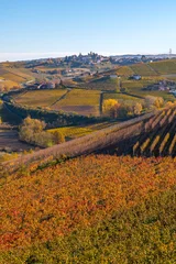 View of the Langhe vineyards and the town of Diano d'Alba, Langhe, Piedmont, Italy © Pixelshop