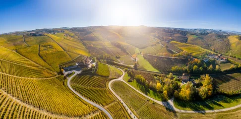 Aerial view of the Langhe vineyards in autumn, Piedmont, Italy © Pixelshop